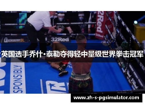 英国选手乔什·泰勒夺得轻中量级世界拳击冠军