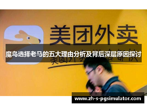 魔鸟选择老马的五大理由分析及背后深层原因探讨